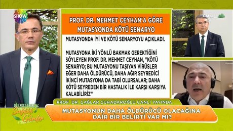 Video poster resmi