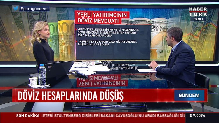 Yerli yatırımcının döviz mevduatı