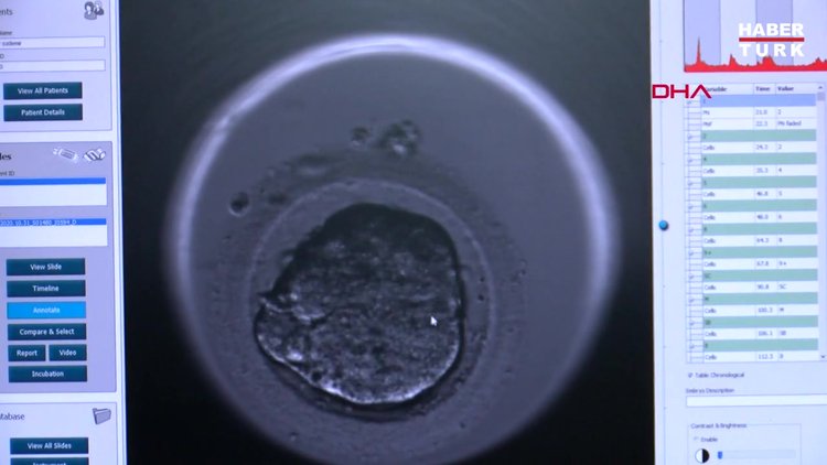 Damacana, biberon ve kozmetik ürünlerle gelen 'kısırlık' tehlikesi