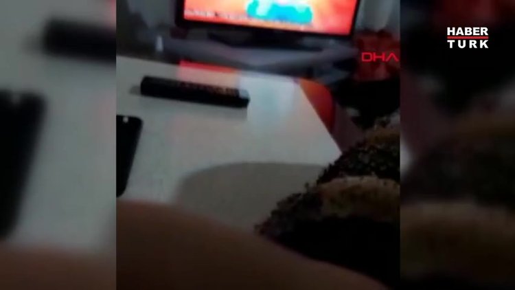 Esenyurt'ta genç kadının sır ölümünde ailenin isyanı: "Kıtır kıtır kesmezsem insan değilim"