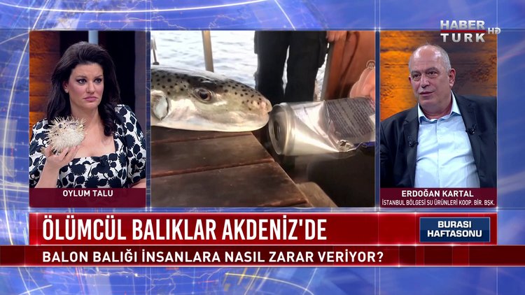 Burası Haftasonu - 14 Mart 2021 (Balon balığı insanlara nasıl zarar veriyor?)