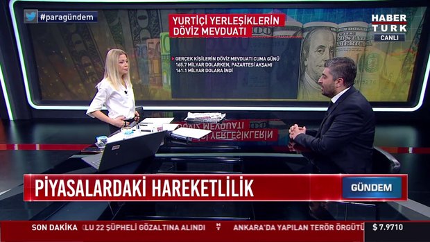 Yurtiçi yerleşiklerin döviz mevduatı