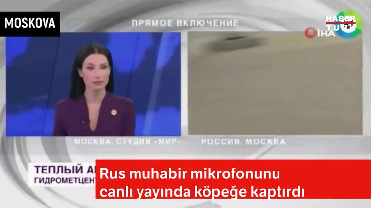 Rus muhabir mikrofonunu canlı yayında köpeğe kaptırdı