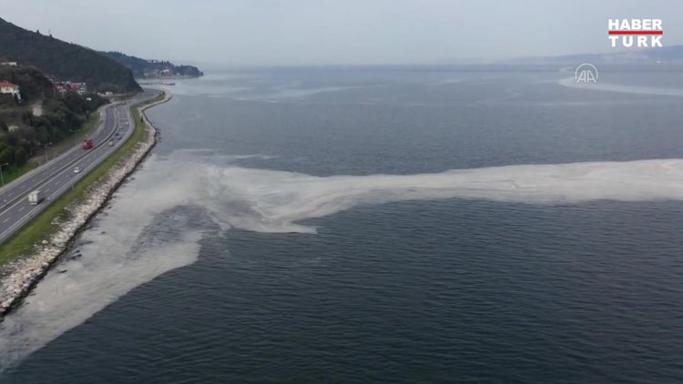 İzmit Körfezi'nde deniz salyası beyaz tabaka oluşturdu