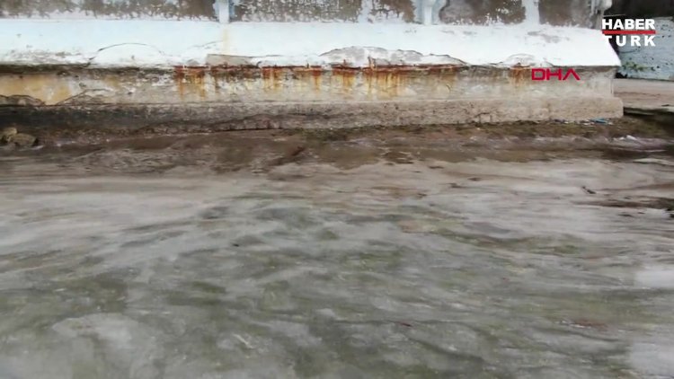 Büyükada'yı "salya" sardı