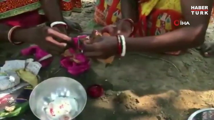 Hintliler yağmur için kurbağaları törenle evlendirdi