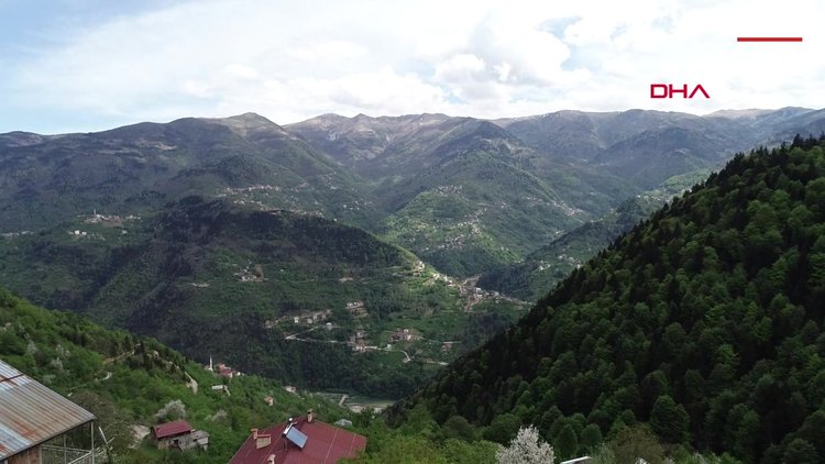 Komşuların 'inat merdivenleri' şaşırtıyor