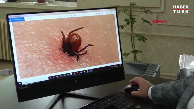 Prof. Dr. Çetin: KKKA aşısı, koronavirüs nedeniyle ikinci planda kaldı