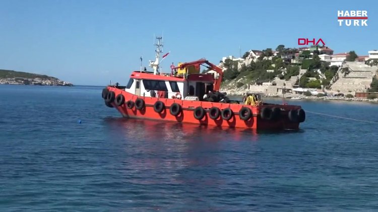 Koruma altındaki deniz çayırları taşındı, uzmanlar uyardı