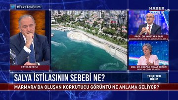 Deniz salyaları neden Marmara Denizi'ne akın etti? | Teke Tek Bilim - 23 Mayıs 2021 