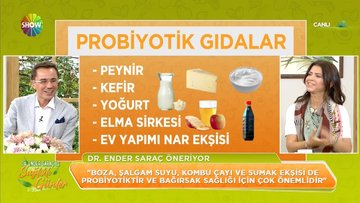 Probiyotik gıdalar nelerdir?