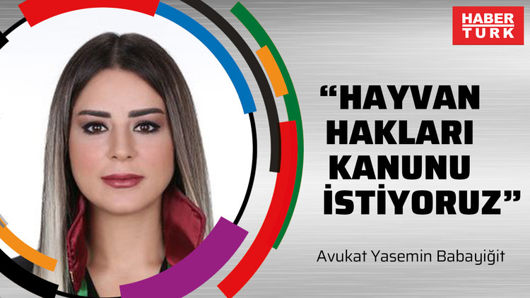 "Hayvanları Koruma Kanunu değil, Hayvan Hakları Kanunu istiyoruz"