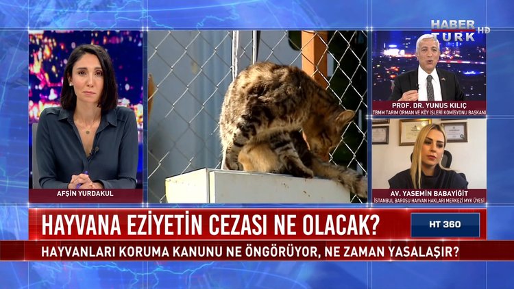 HT 360 - 8 Haziran 2021 (Hayvana eziyetin cezası ne olacak?)