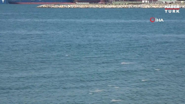 Yalova'da 9 günde bin 478 metreküp müsilaj toplandı