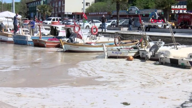 Marmara Denizi'ni saran müsilajla ilgili önemli çalışma: 2 yılda bertaraf edebiliriz