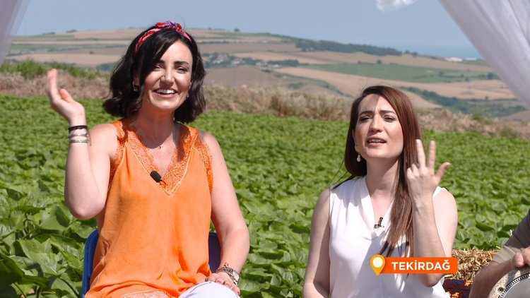 Lavanta tarlalarında "Bağa Girdim Bağ Budanmış"