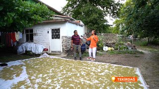 Yazın ilk günlerinin gelmesi ile kış aylarında da kullanılmak üzere hazırlanan ıhlamur ve sirkelerin yapılışı ekrana geldi. ...