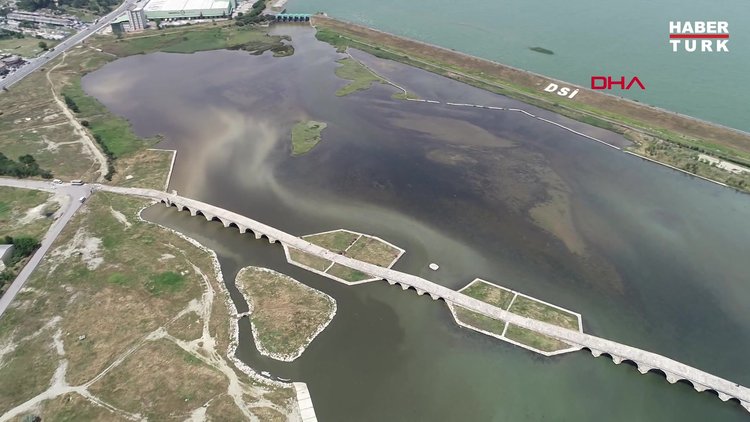 Büyükçekmece Gölü'nden korkutan görüntüler! Ölü balıklar kıyıya vurdu