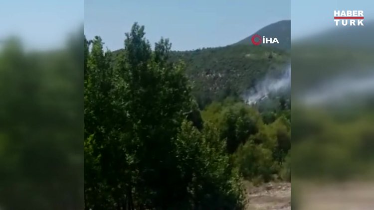 Denizli'de orman yangını: 15 dekar orman küle döndü