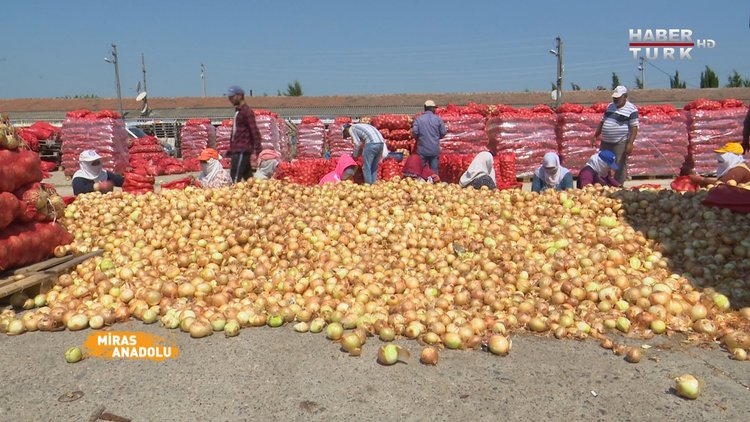Organik tarım nasıl yapılır? | Miras Anadolu - 23 Temmuz 2021