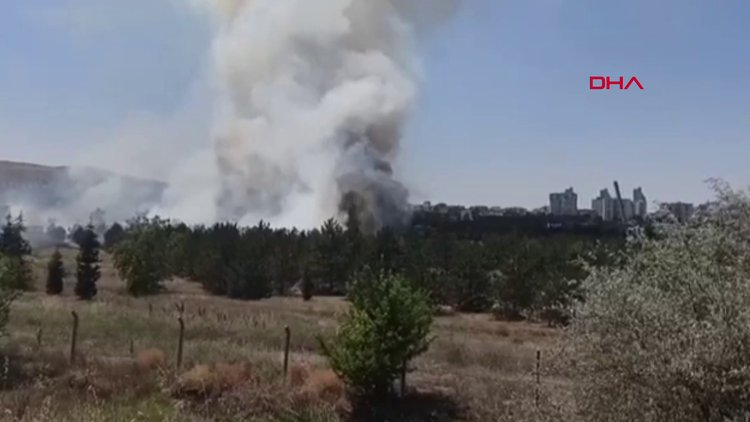 Atatürk Orman Çiftliği'nde yangın