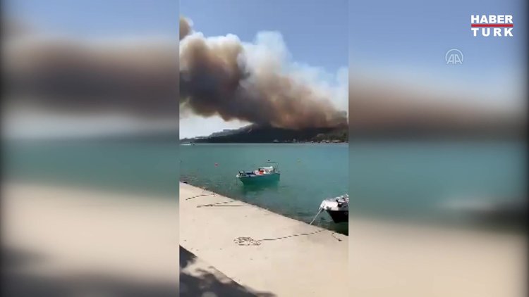 Bodrum'da orman yangını