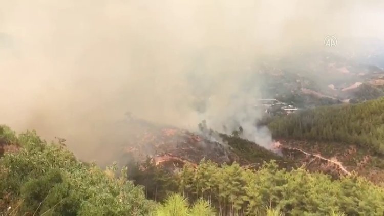 Alanya'daki orman yangınına havadan ve karadan müdahale
