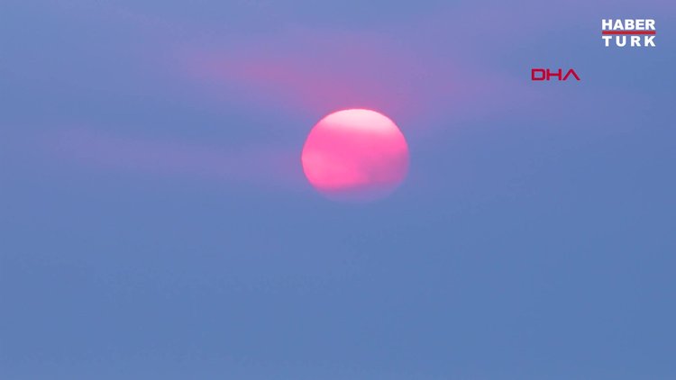 Yavru carettalar dumandan yönlerini bulamadı