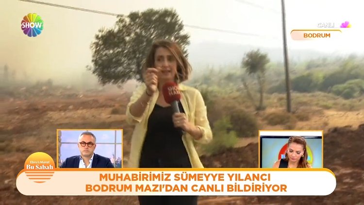 Bodrum Mazı'daki orman yangınından son durum!