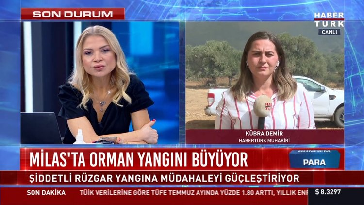 Milas'ta orman yangını büyüyor