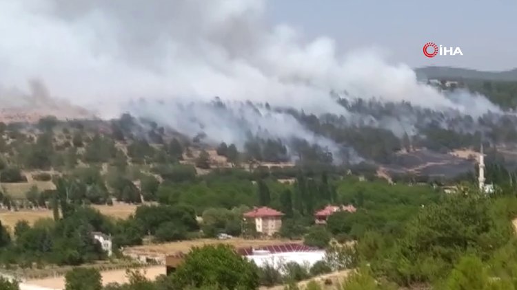 Uşak'ta arazide çıktı, ormana sıçradı