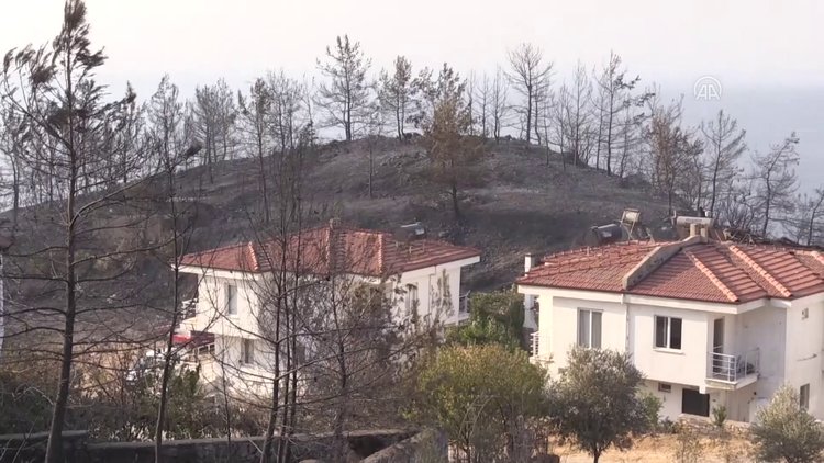 Bodrum ve Milas'ta yanan ormanlık alanlar görüntülendi
