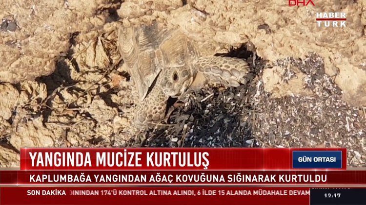 Yangında mucize kurtuluş