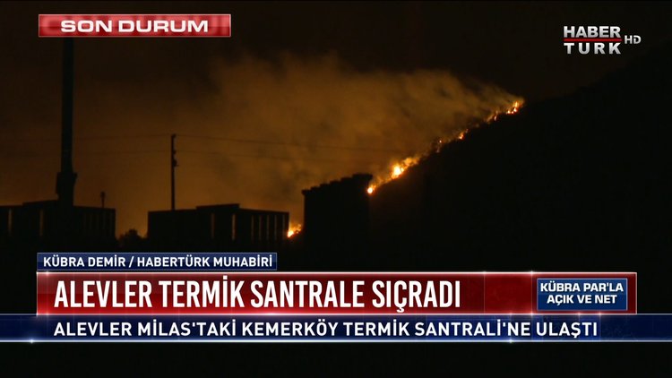 Orman yangınları nasıl engellenir? | Açık ve Net - 4 Ağustos 2021