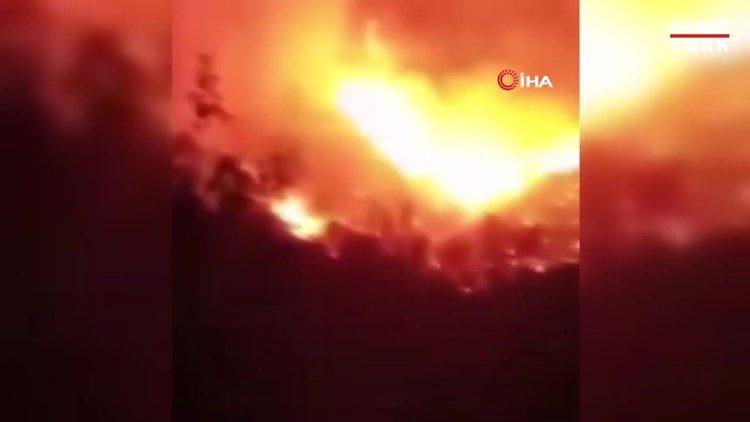 Cezayir'de 31 noktada orman yangını! 4 ölü, 3 yaralı