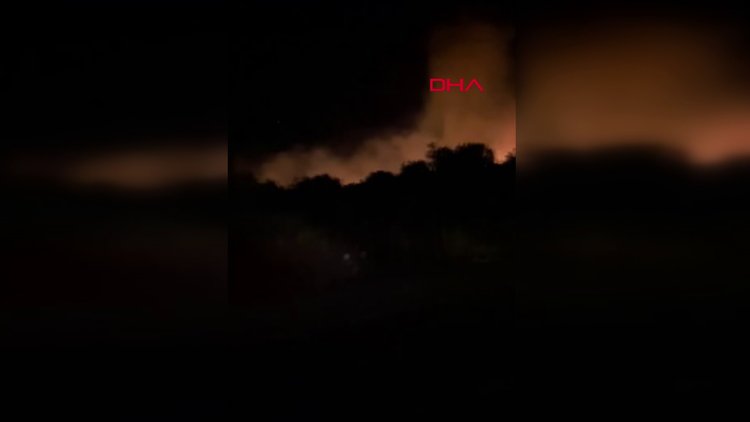 Didim'de makilik alanda yangın!