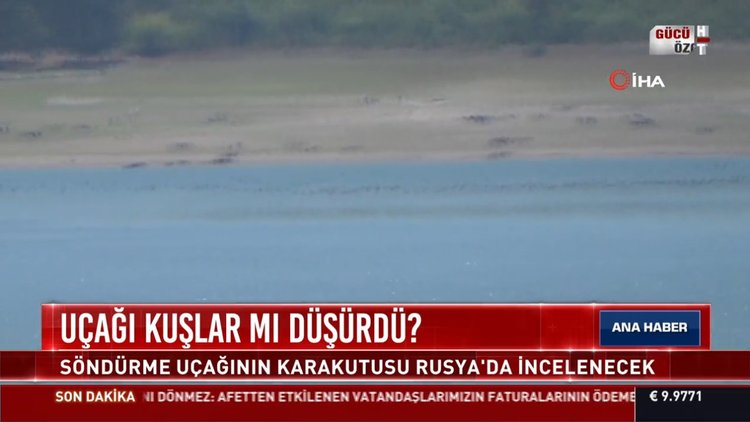 Rus uçağını kuş sürüsü mü düşürdü?