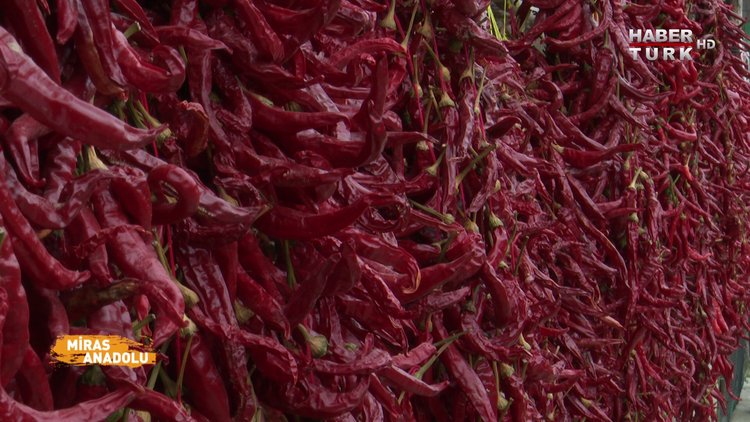 Miras Anadolu - 21 Ağustos 2021 (150 yıllık Çukurören biberi ve Bilecik…)