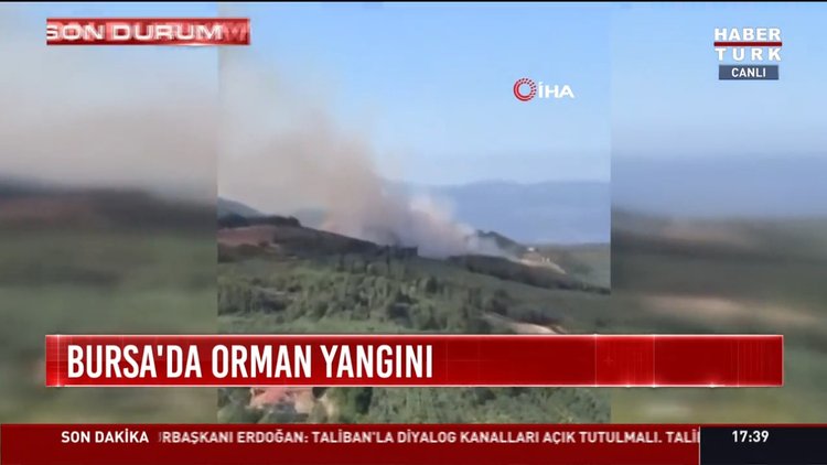 Mudanya'da orman yangını