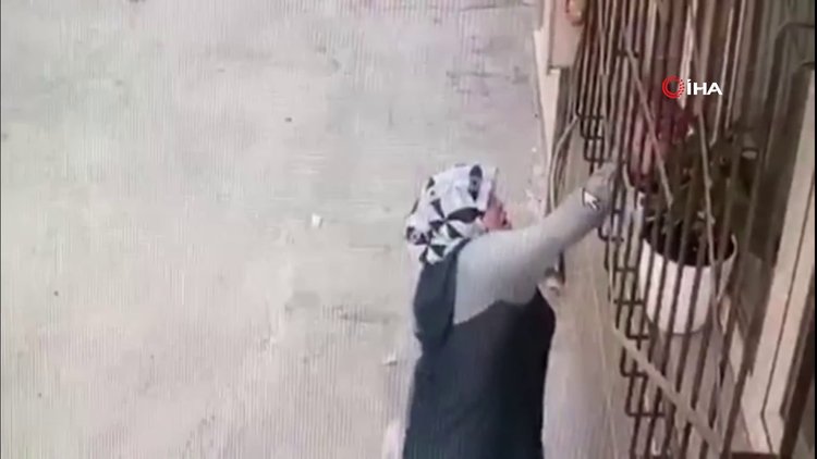 Camdaki çiçeği saksıdan söküp çalan kadın kamerada