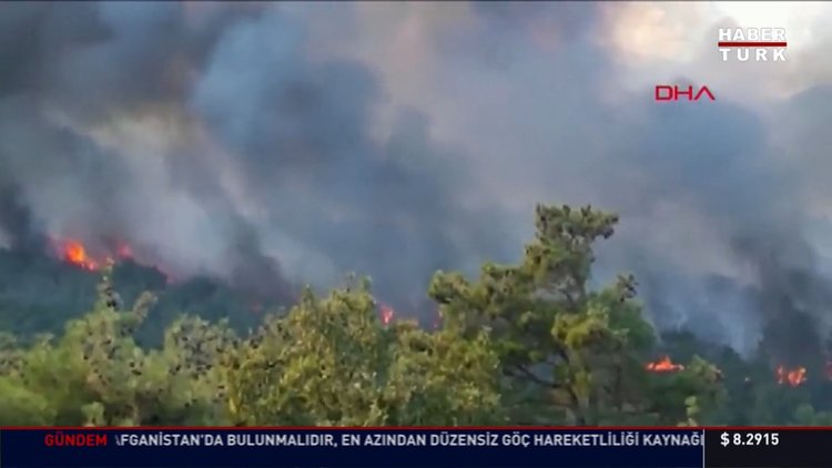 Çanakkale'de orman yangını