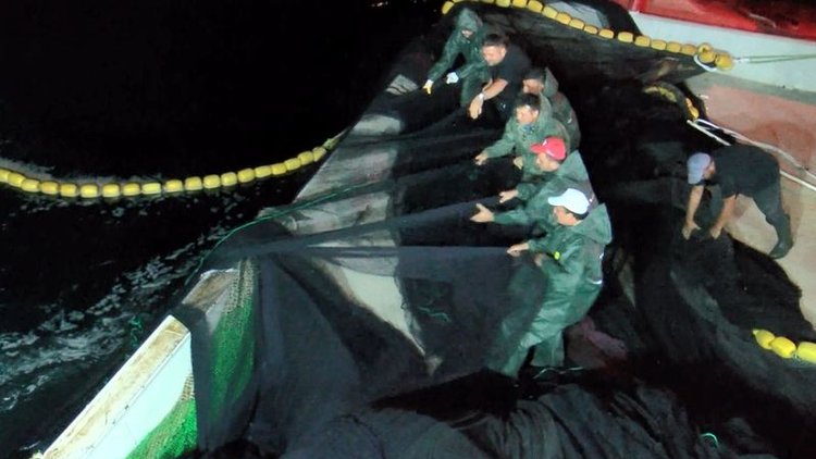 Balık av sezonu açıldı, ilk ağlar çekildi