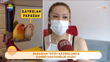 Video poster resmi