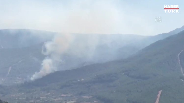 Kemalpaşa ilçesinde orman yangını çıktı