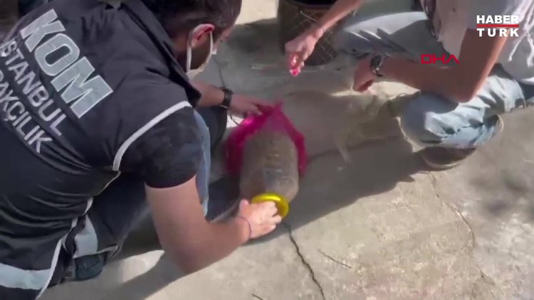 İSTANBUL'DA TARİHİ ESER KAÇAKÇILIĞI OPERASYONU POLİS KAMERASINDA