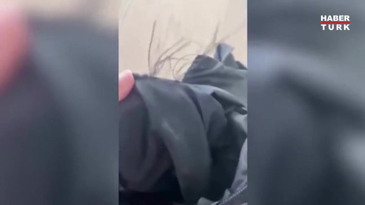 Shakira yaban domuzlarının saldırısına uğradı!