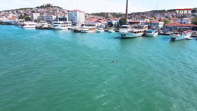 Ayvalık'ta yunusun şamandırayla oyunu drone ile görüntülendi