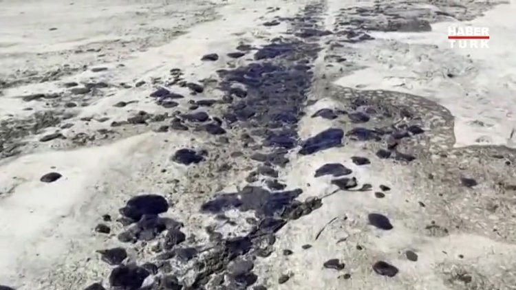 California'da çevre felaketi: 3 bin varil petrol sızdı!