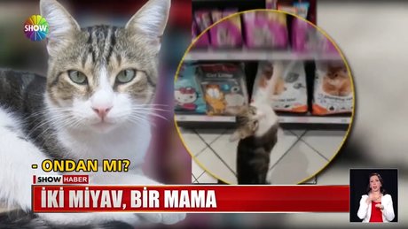 Video poster resmi
