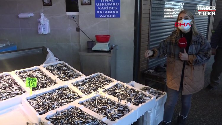 KARADENİZ'DE HAMSİ BOLLUĞU; FİYATI YARIYA DÜŞTÜ